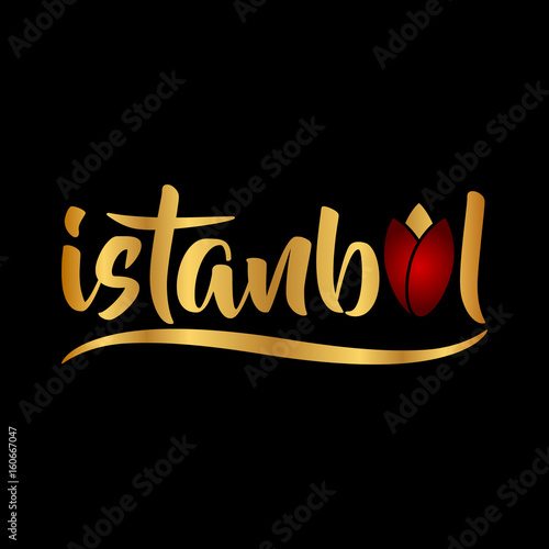 istanbul logo, icon and symbol vector illustration