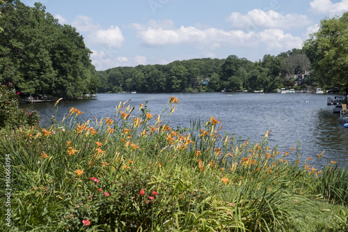 Flowers at Lake Anne, Reston Virginia