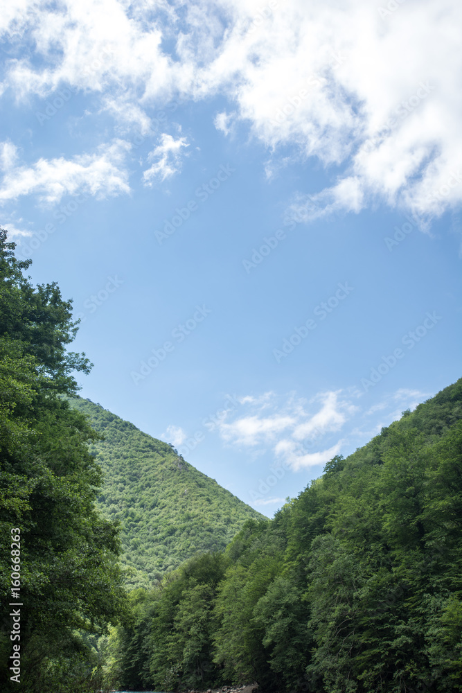 Top mountain woods landscape vertical