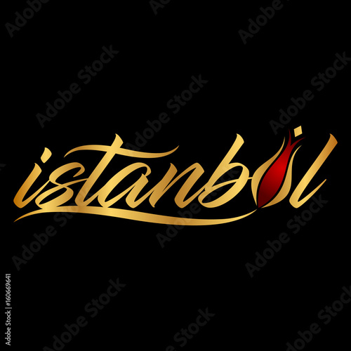 istanbul logo, icon and symbol vector illustration