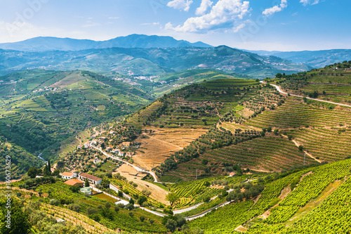 Top view of the vineyards on a hills at Douro Valley, Portugal.
