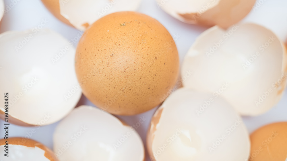 egg shell on white background blur focus egg shell on white background blur focus