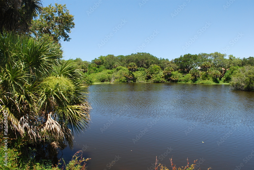 Beautiful blue water lake with a sunny sky