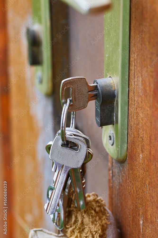 Open garden gate with key Open garden gate with key