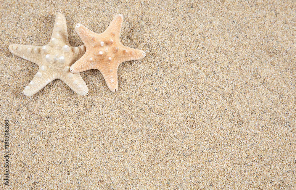 starfish in the beach sand - copy space starfish in the beach sand - copy space