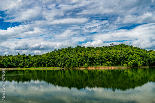 Mountain trees and green lake