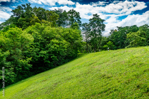 Slope of grass
