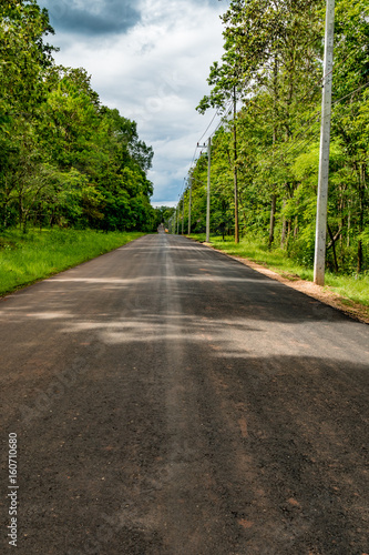 Asphalt country road