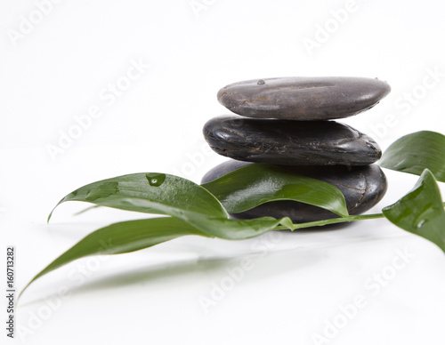 zen stones and leaves with water drops, isolated. spa background