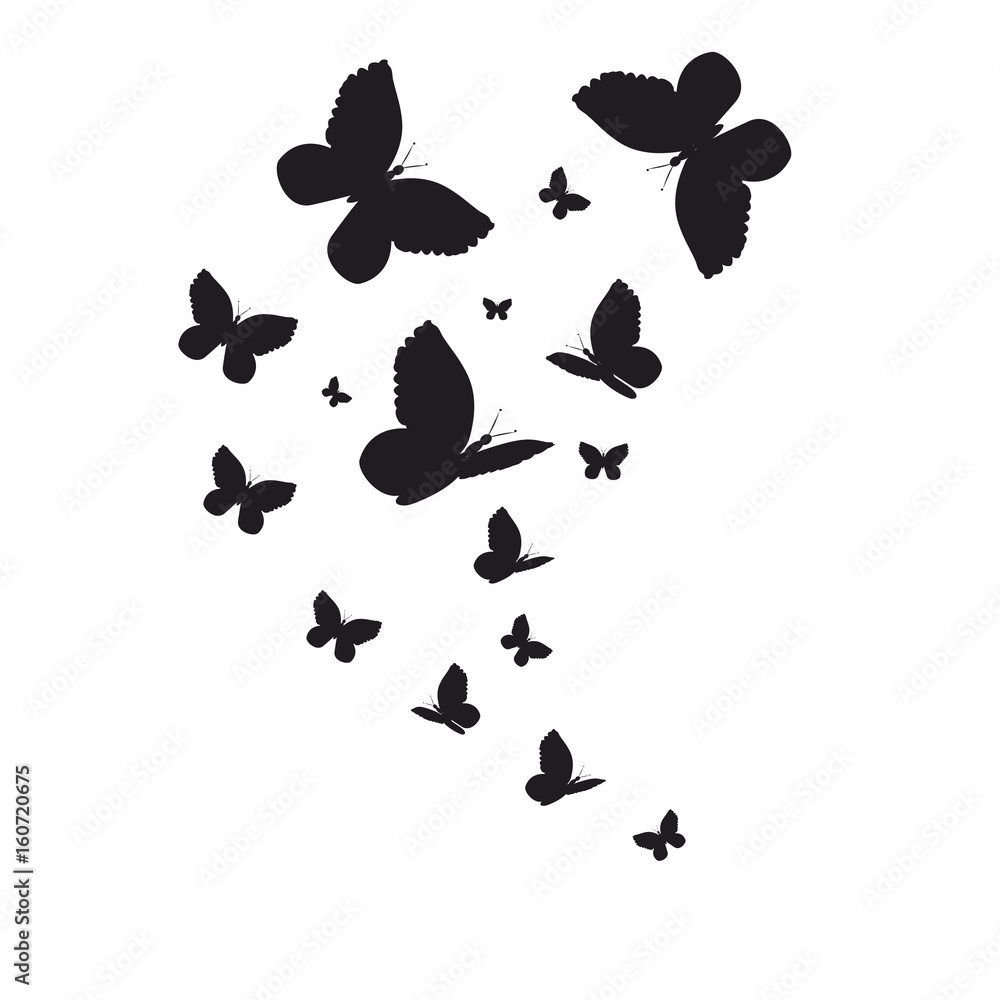 Fototapeta premium 1952