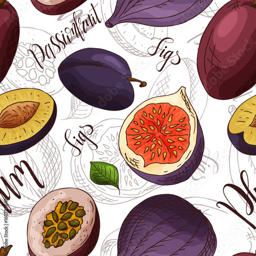 Sketched fruits background. Vector seamless pattern with figs and plum and passionfruit. Hand drawn illustration