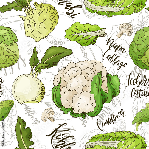Sketched vegetables background. Vector seamless pattern with kohlrabi and napa cabbage and couliflower and lettuce. Hand drawn illustration.