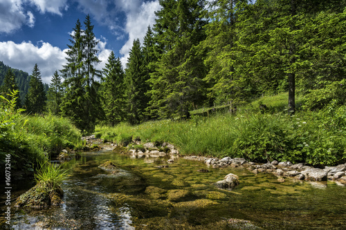 kleiner Bach photo