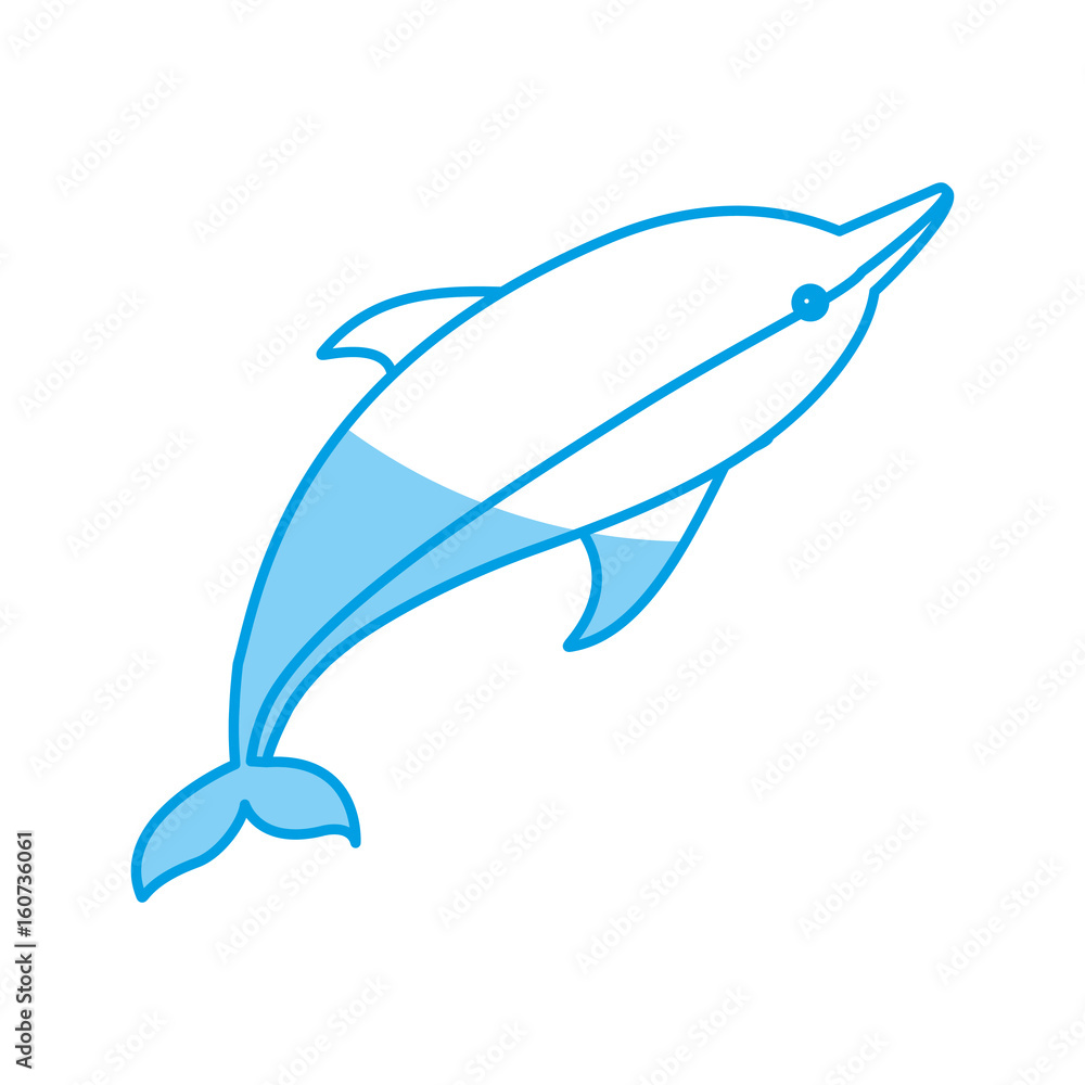 dolphin icon image dolphin icon image