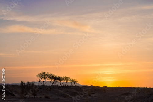 silhouettes of trees on hill with orange sky on background 