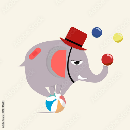 Circus elephant vector