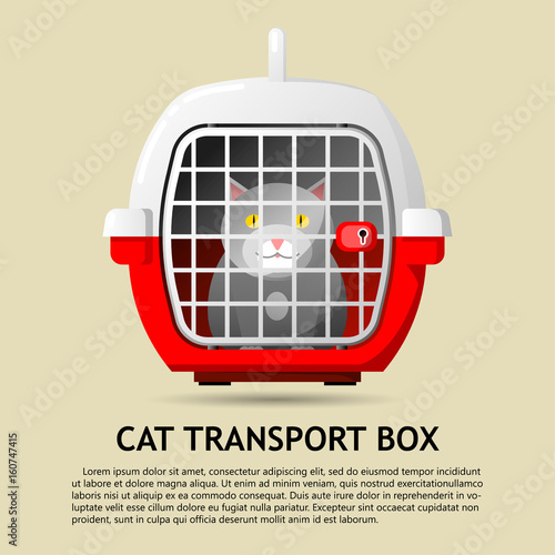 Vector flat icon. Box for transporting animals with gray cat inside.