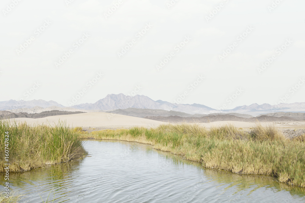 view of tecopa hot springs little pond in Mojave desert, Nenada view of tecopa hot springs little pond in Mojave desert, Nenada