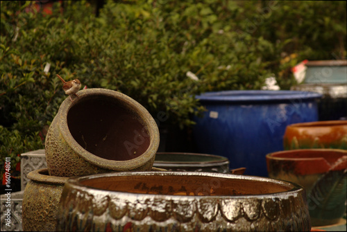 Bird with the pots © Darryl