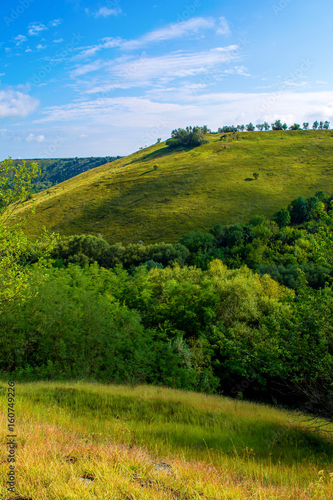 Obraz premium Photo of a beautiful hill and green grass