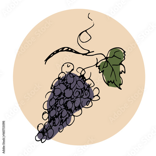 Vector Hand Drawn Illustration. Bunch of red grapes. Paris Theme. Sketch.