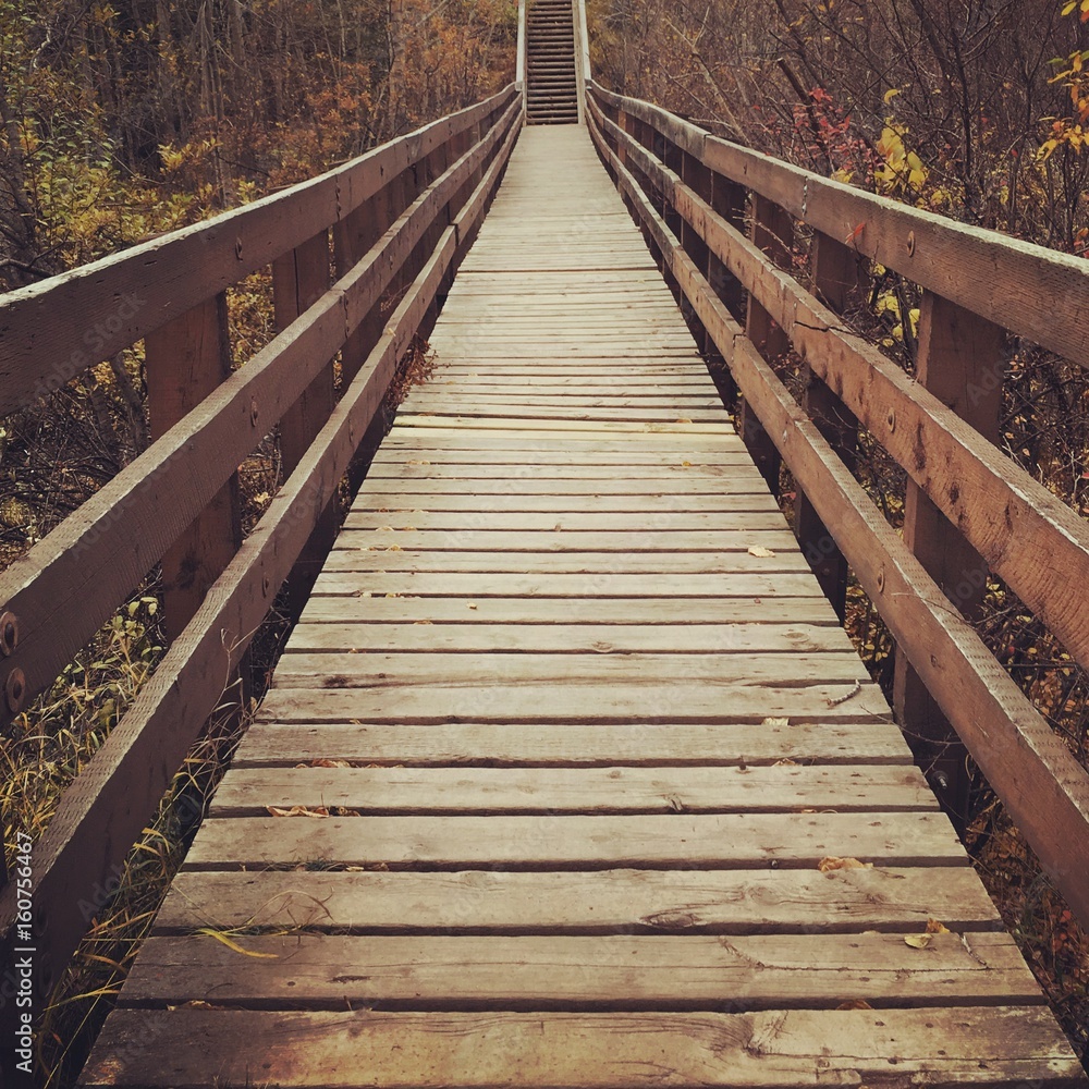 Obraz premium Bridge walkway in woods