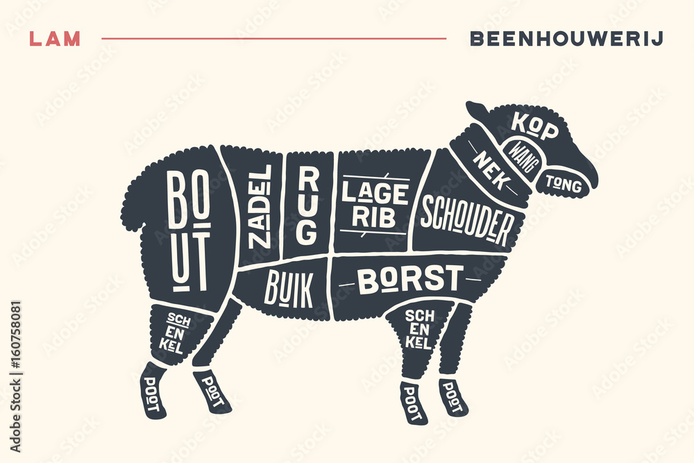 Meat cuts. Poster Butcher diagram and scheme - Lamb. Vintage hand-drawn black and white typographic with text on Dutch. Diagrams for butcher shop, design for restaurant or cafe. Vector Illustration Meat cuts. Poster Butcher diagram and scheme - Lamb. Vintage hand-drawn black and white typographic with text on Dutch. Diagrams for butcher shop, design for restaurant or cafe. Vector Illustration
