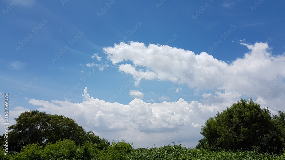 The white clouds in fresh blue sky