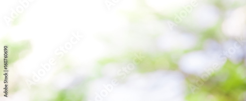 Blur white green natural abstract background