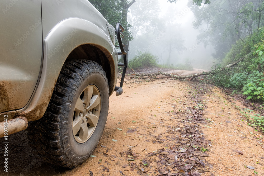 Car tire on dirt road with the trunk of a fallen tree in a forest. Car tire on dirt road with the trunk of a fallen tree in a forest.