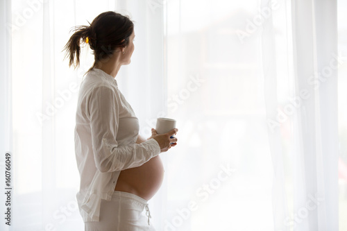 Portrait of young pregnant attractive woman  standing by the window 