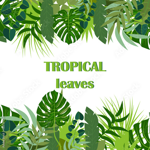 Beautiful vector floral summer background with tropical palm leaves. Perfect for wallpapers, web page backgrounds, surface textures, textile.