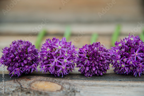 Allium flowers bouquet in a stylish metal decorative vase. Shallow depth of field