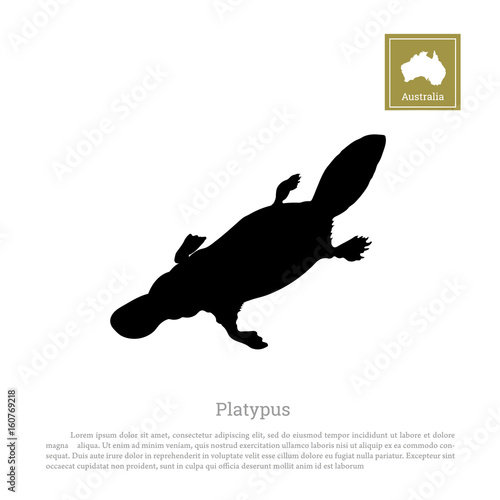 Black silhouette of platypus on a white background. Animals of Australia. Vector illustration