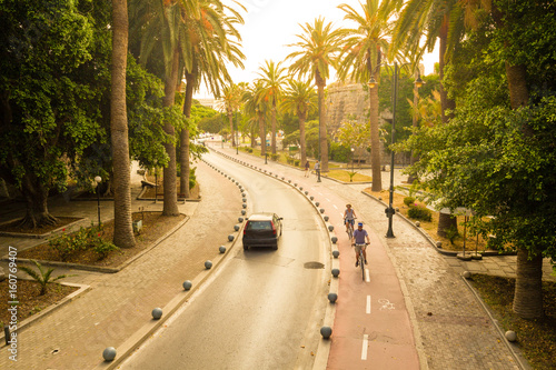 Fototapeta Naklejka Na Ścianę i Meble -  Cycle path near Neratzia Castle and ferry terminal in Kos Greece, with palm trees in sunny day.