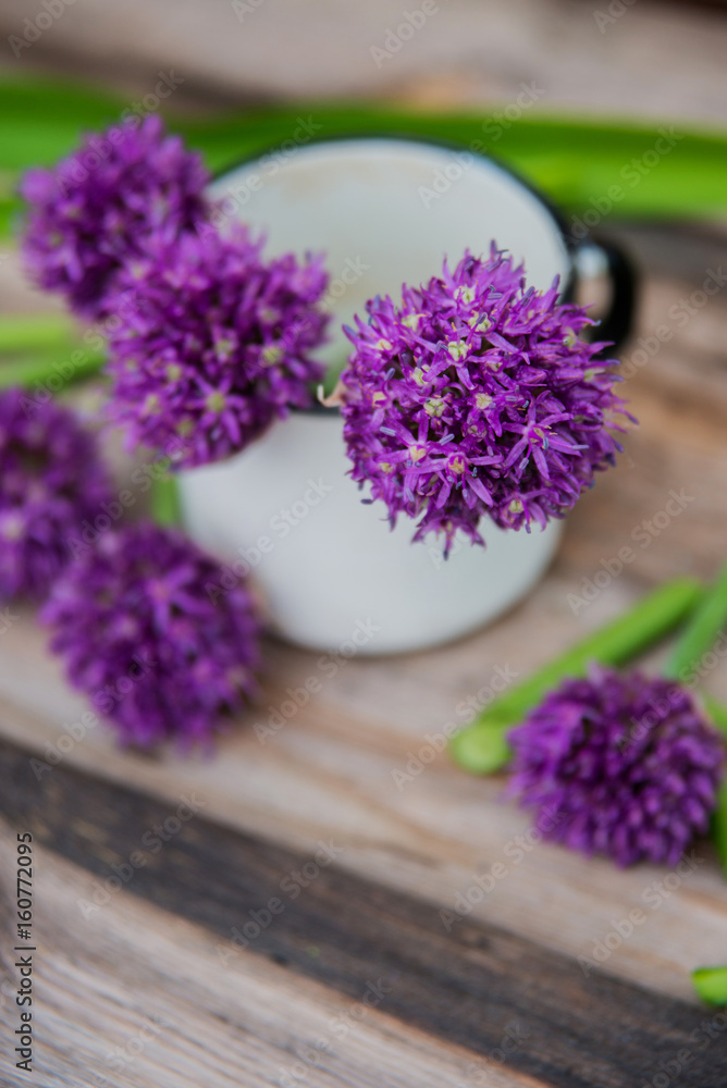 Decorative flowering edible onion in the garden. Allium schoenoprasum. Decorative flowering edible onion in the garden. Allium schoenoprasum.