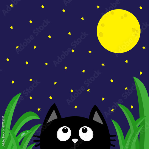 Black cat looking stars and moon in the dark night. Green grass dew drop. Cute cartoon character. Kawaii romantic animal. Greeting card. Flat Blue background. Isolated.