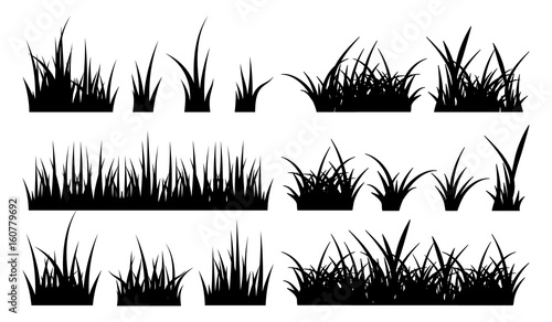 Monochrome illustration of grass. Vector silhouettes