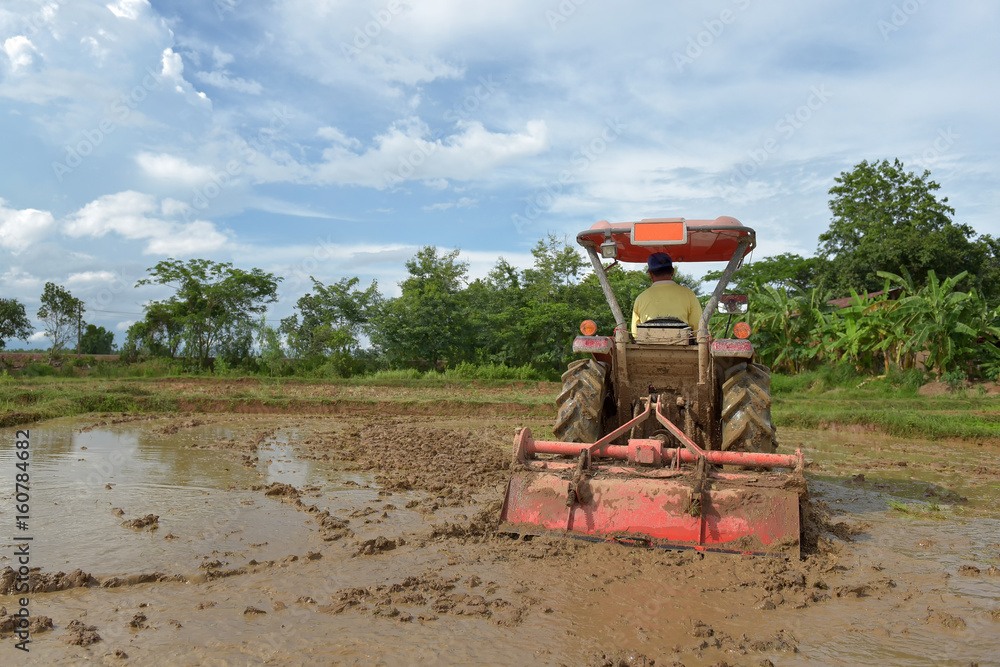 Obraz premium Agriculture workers with tractors to prepare crops, rice farming.