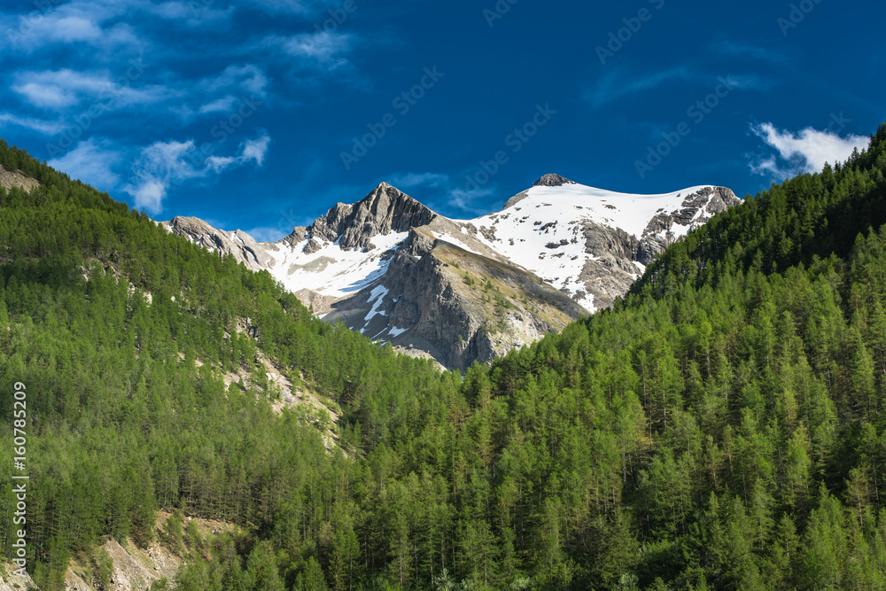 Snowy peak and forest in Alps,France