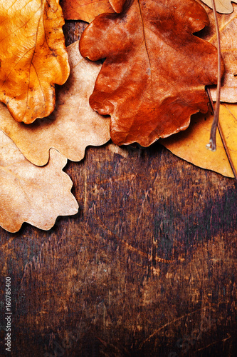 Abstract background with autumn leaves on draw wooden old background with copy space for text.
