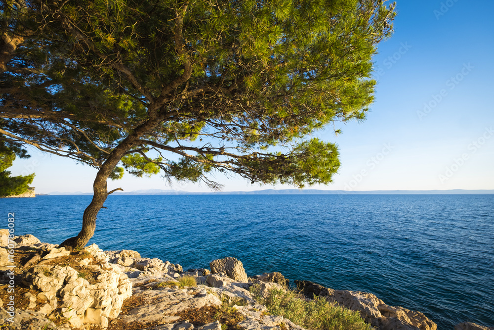 Park suma sveti Petar in Makarska Rivera in Croatia Park suma sveti Petar in Makarska Rivera in Croatia