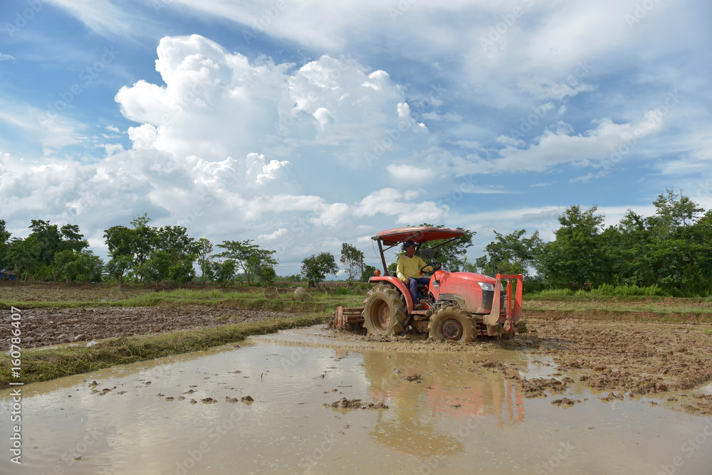 Obraz premium Agriculture workers with tractors to prepare crops, rice farming.