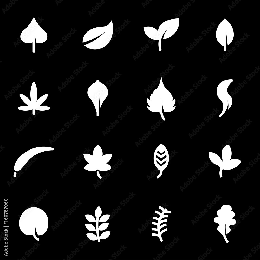 Vector white leaf icons set Vector white leaf icons set