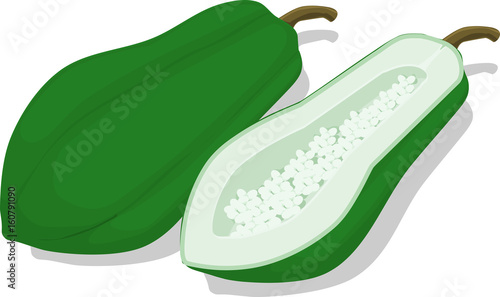 Isolated green papaya on transparent background
