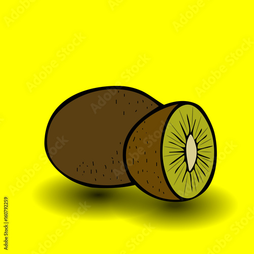 Kiwi fruit vector illustration. Sliced juice kiwi on the white background.