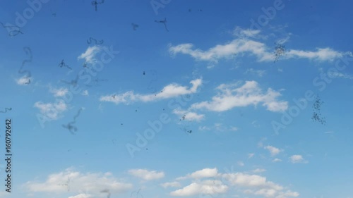 Myodesopsia (Eye Floaters) Looking at the Sky photo