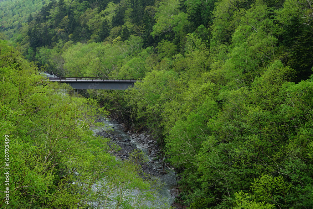 Fototapeta premium Bridge across the river
