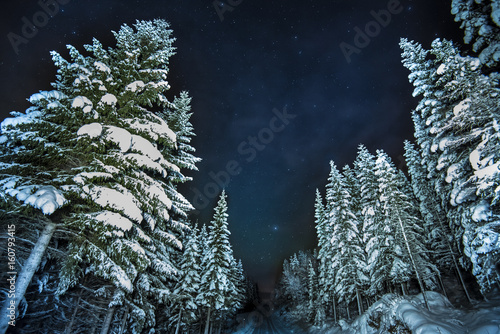 Lofoten islad in the winter photo