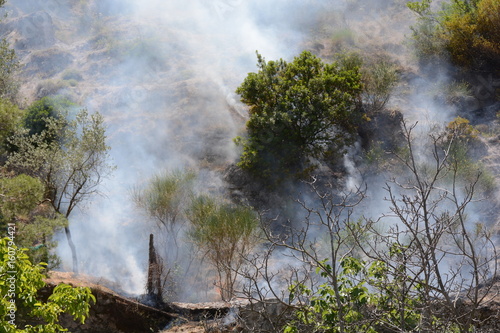 INCENDIO ESTIVO.MONTAGNA,SUD ITALIA